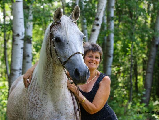 Recap of the Belair Ride