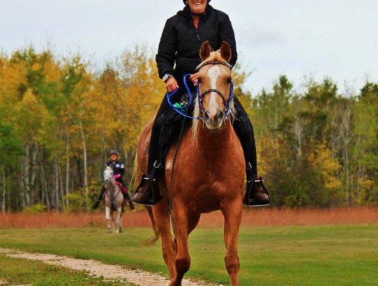 Manitoba Equestrian Championship