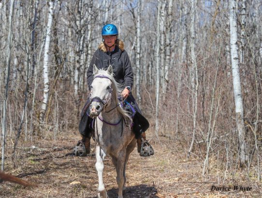 Hit Air Vest for Best Injury Prevention