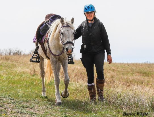 The Best Laid Plans...