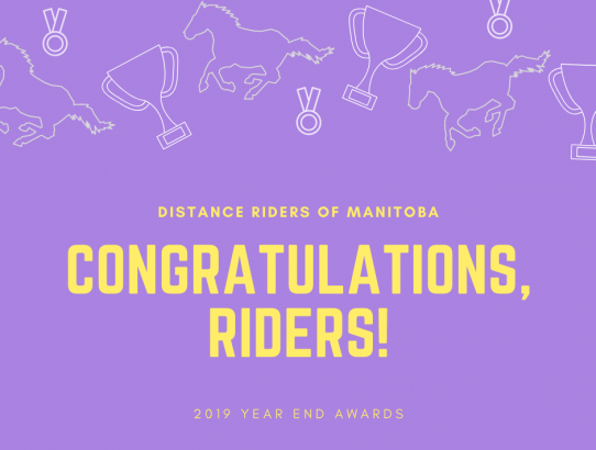 2019 Year End Awards