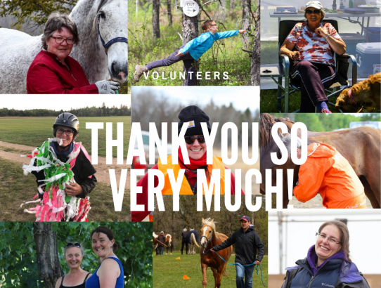 2020 Volunteers & Board Members