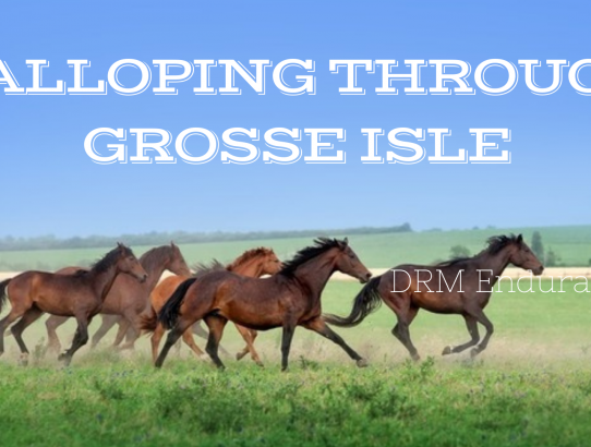 Galloping Through Grosse Isle August 7 - 8