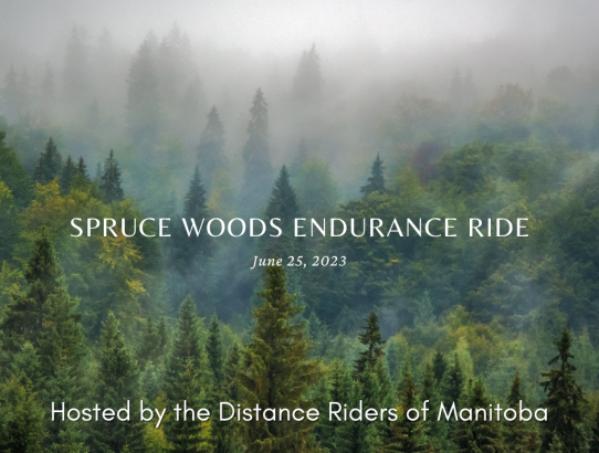 Spruce Woods - June 25, 2023